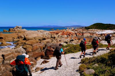 bay of fires lodge walk